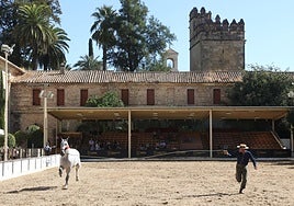 Cultura, el canon y el periodo de entrega: los últimos escollos de la cesión de Caballerizas Reales de Córdoba