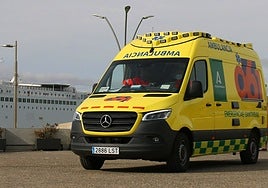 Reabierto al tráfico en la A-7 en Almería tras el accidente que deja diez heridos