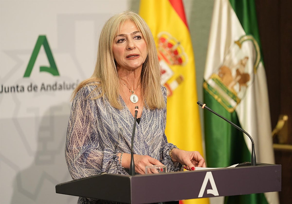 La consejera de Cultura y Deporte, Patricia del Pozo, en una rueda de prensa