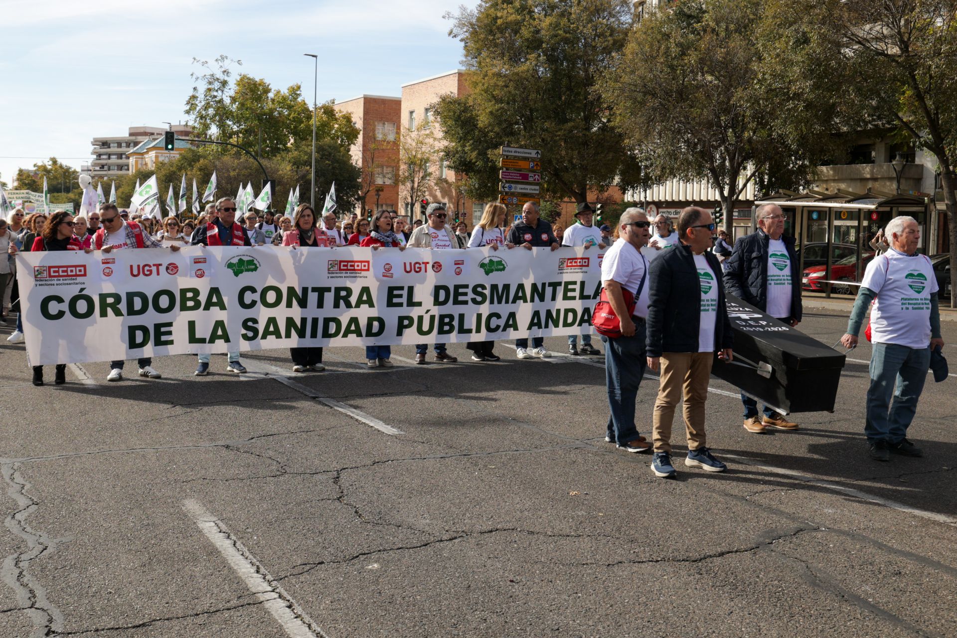 La manifestación por la sanidad pública en Córdoba, en imágenes