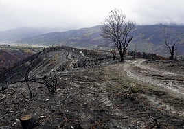 La Confederación Hidrográfica del Miño-Sil defiende que actuó con «rapidez» para frenar el arrastre de las cenizas