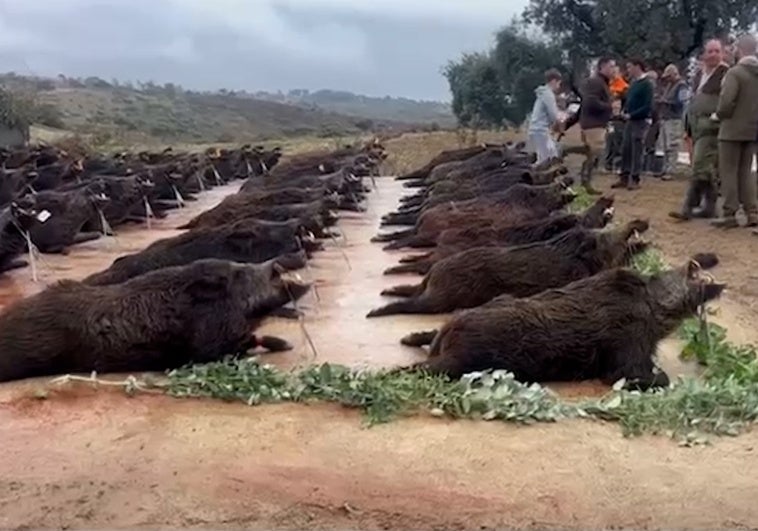 Spanish king urges China trade