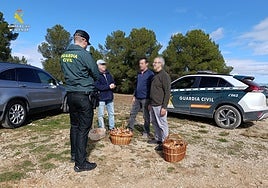 Hallan con hipotermia a un anciano perdido que había salido a buscar rebollones en Valencia