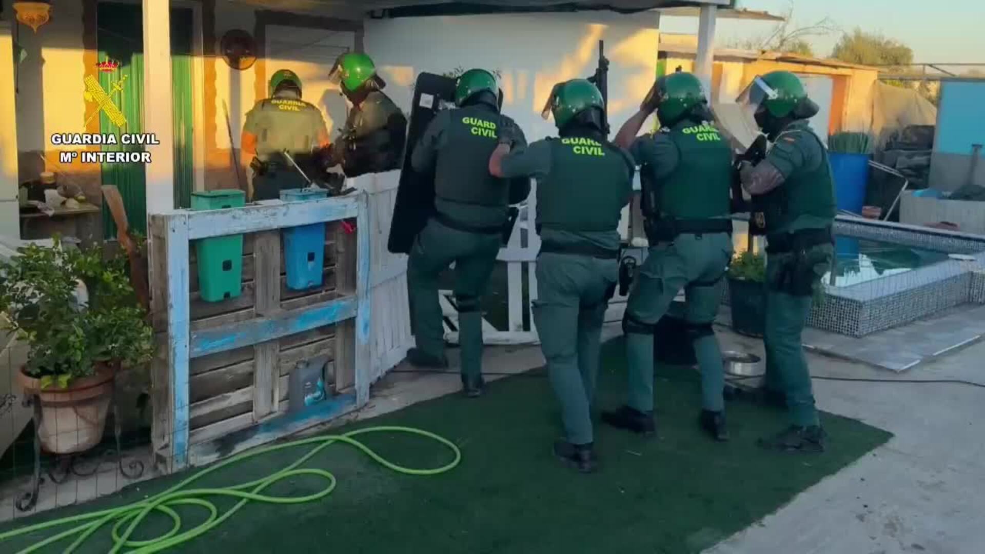 Cuatro detenidos por cultivar marihuana a gran escala disimulada entre campos agrícolas