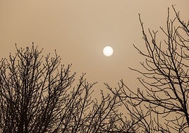 Alerta en Castilla y León por polvo africano desde este miércoles