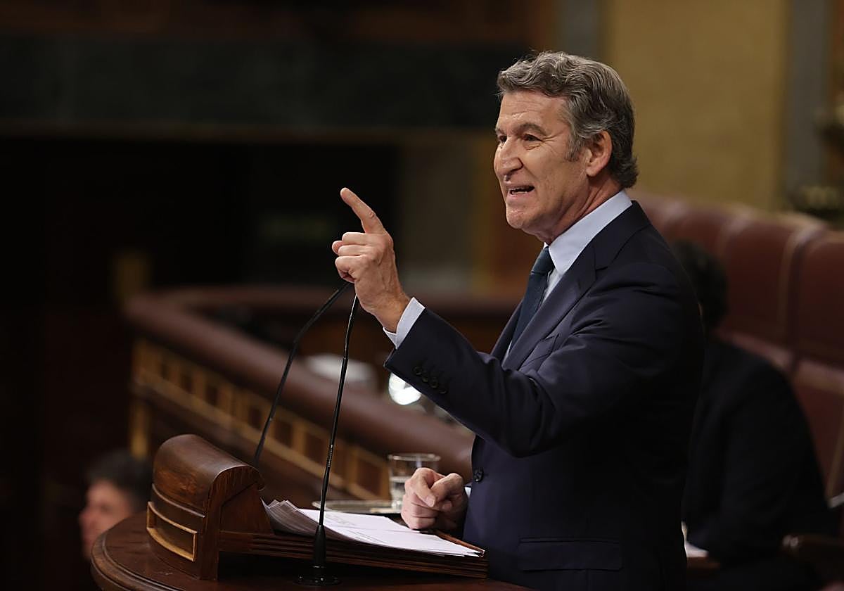 Alberto Núñez Feijóo en el Congreso