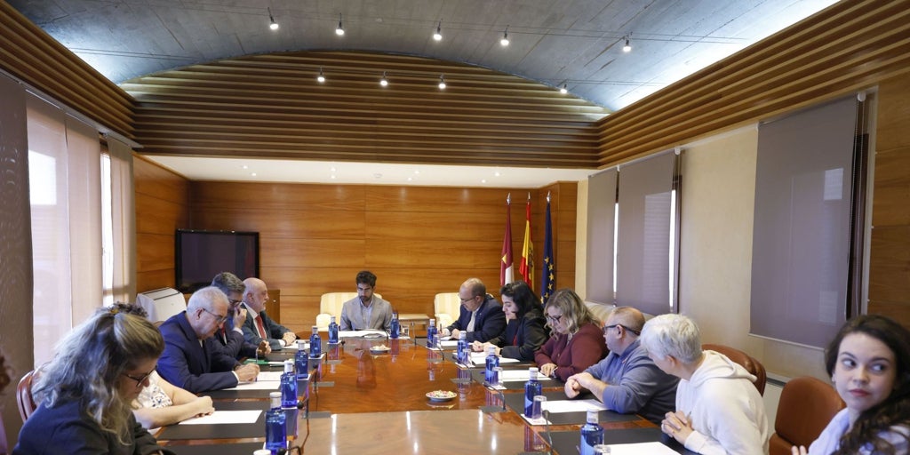 Plena Inclusión Castilla-La Mancha traslada varias propuestas a las Cortes regionales