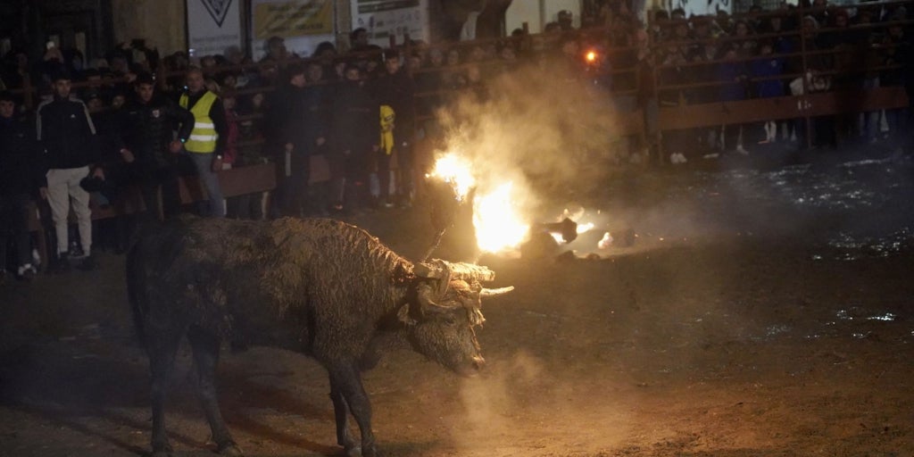 La Junta inicia el procedimiento para declarar BIC al Toro Jubilo de Medinaceli