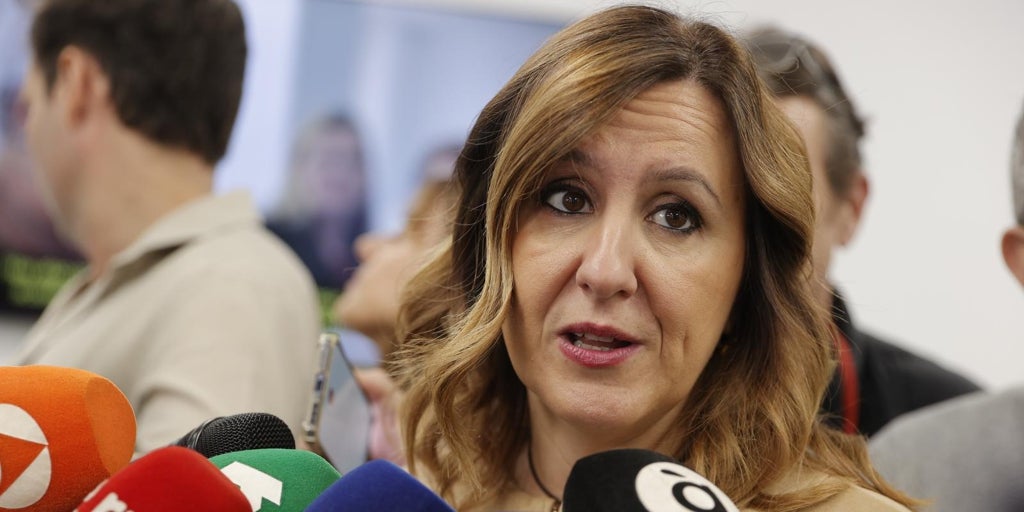 Catalá culpa a la oposición de no llegar a un acuerdo para aprobar la ZBE: «Intentan incorporar proyectos que nada tienen que ver»