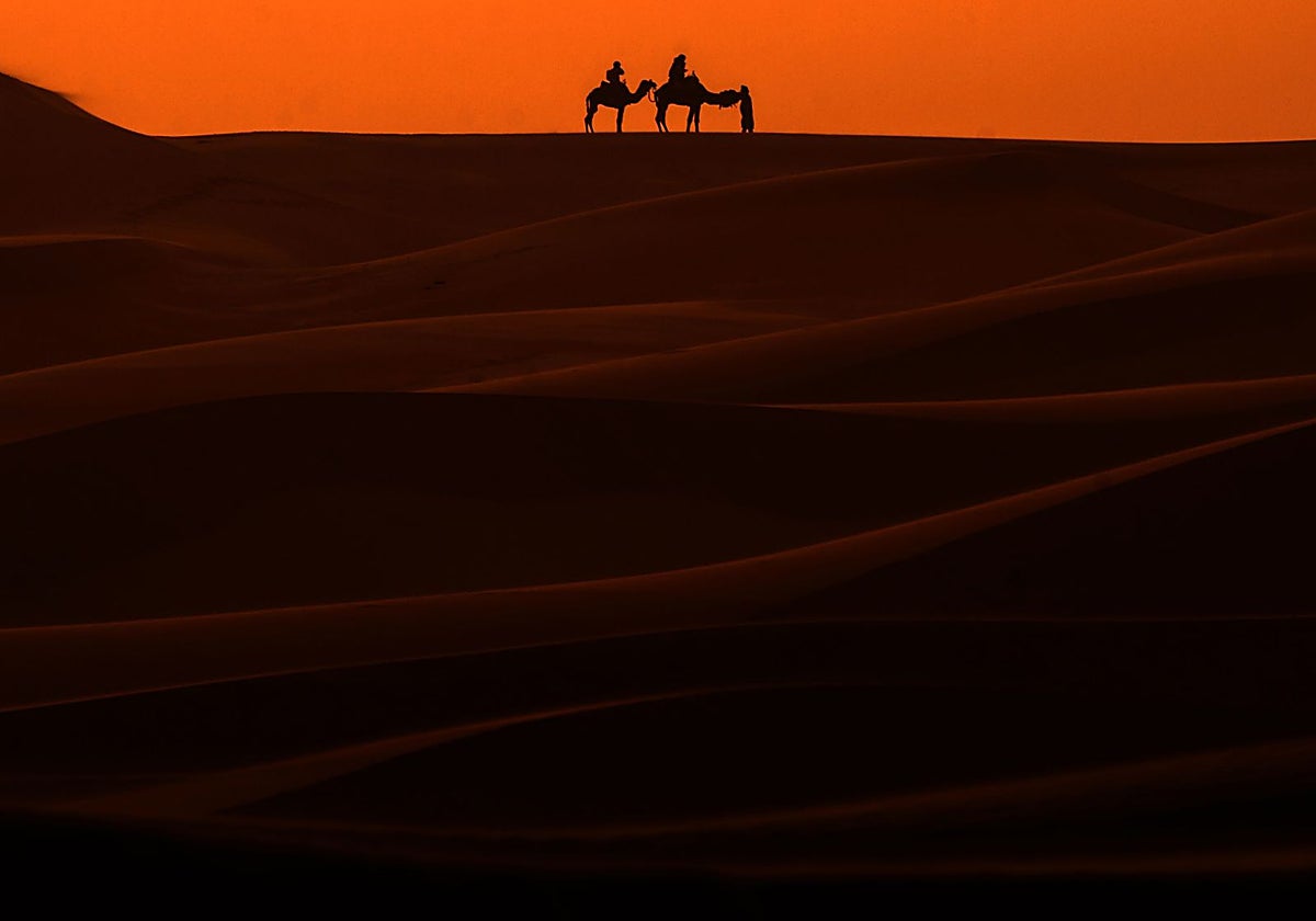 Medio siglo de una infamia