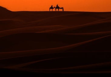 Medio siglo de una infamia