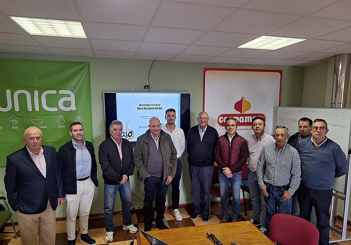 El ajo español teme un impacto de hasta 20 millones por los aranceles de Estados Unidos