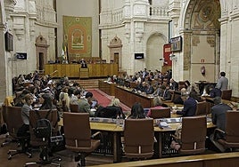El Parlamento de Andalucía reclama al Gobierno central «solución urgente» a las «graves incidencias» en VioGén