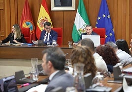 La crisis de los cribados en el cáncer de mama agita el Pleno del Ayuntamiento de Córdoba