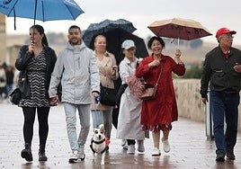 La Policía Local de Córdoba 'caza' a cinco carteristas en la zona del casco histórico