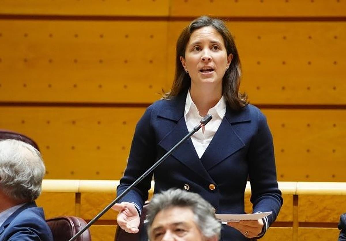 La senadora del PP por Córdoba Cristina Casanueva, en una intervención en la Cámara Alta