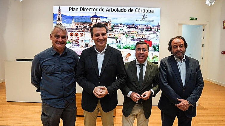 Naranjos, plátanos y almeces se reparten la mitad del arbolado de las calles de Córdoba