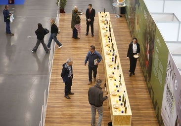 'Sabor a Córdoba' exhibe el lujo gastronómico de la provincia al mundo