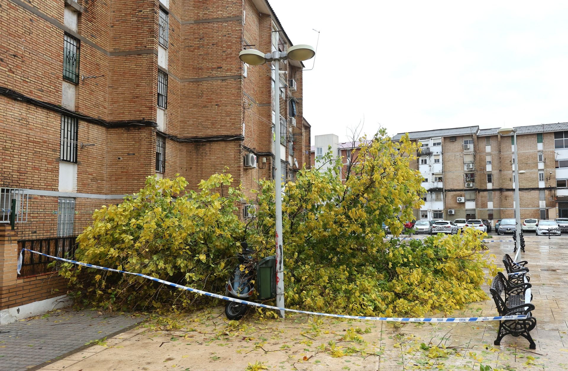 Los efectos de la borrasca Claudia en el Sector Sur de Córdoba, en imágenes