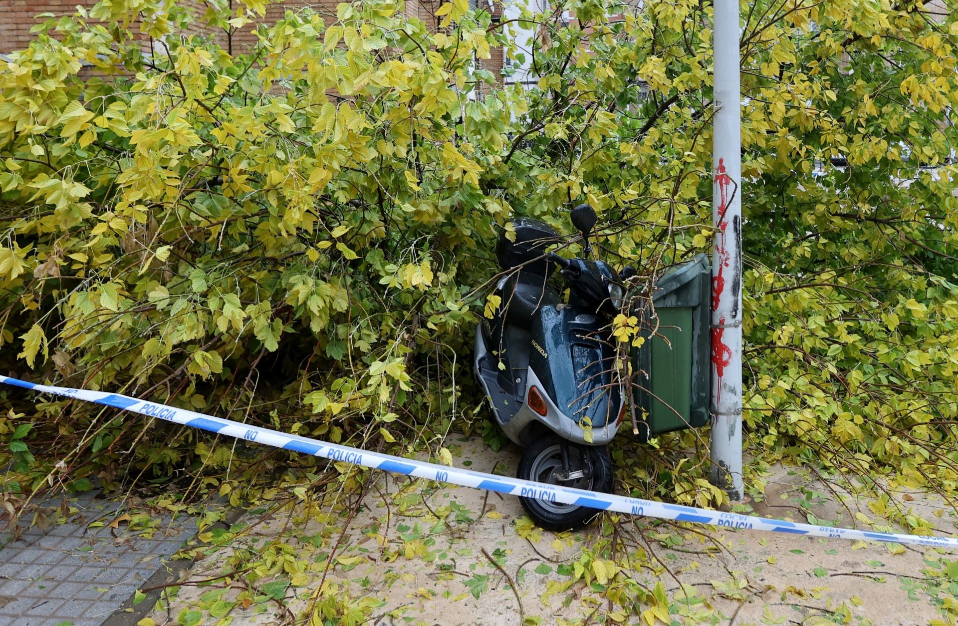 Los efectos de la borrasca Claudia en el Sector Sur de Córdoba, en imágenes