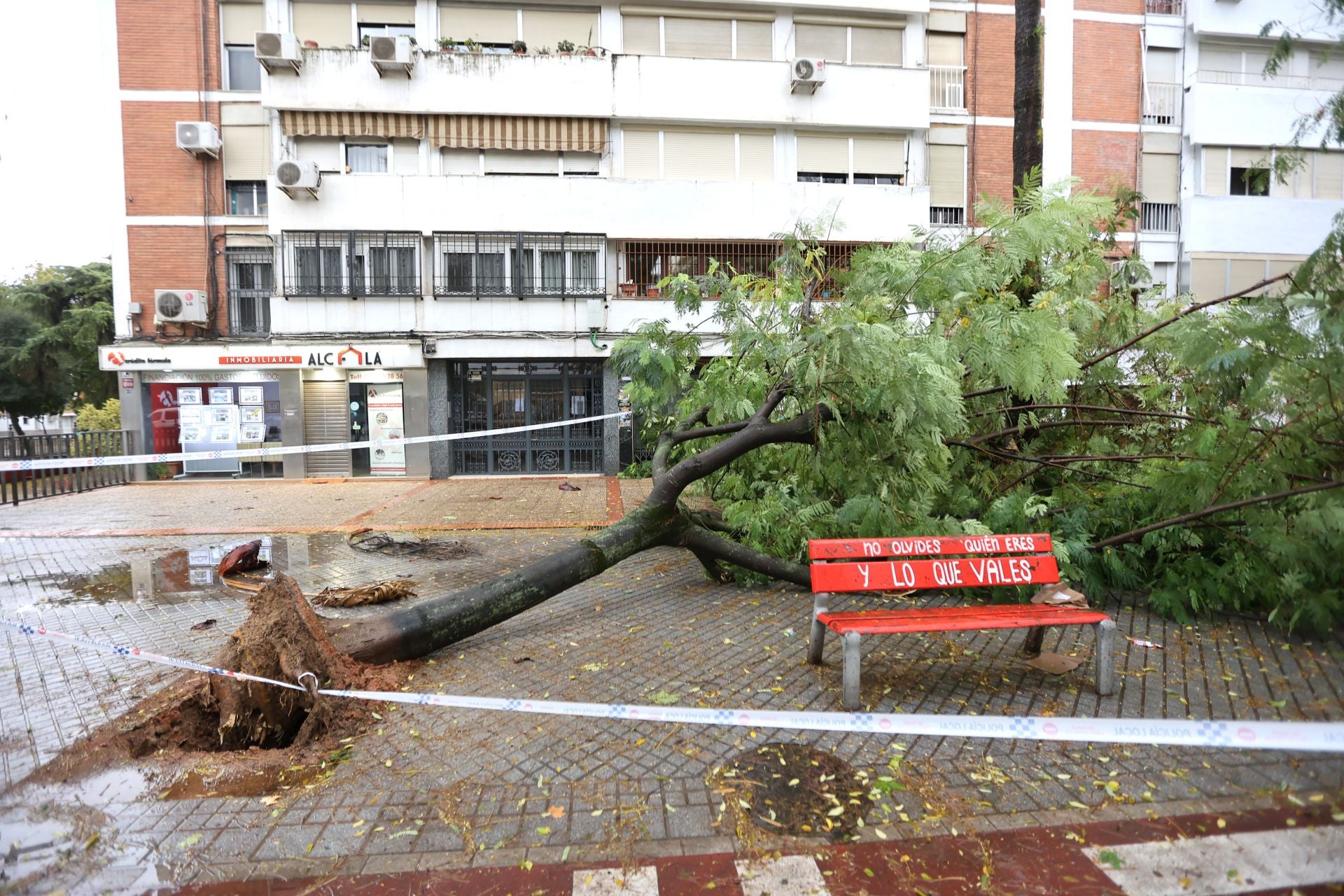 Los efectos de la borrasca Claudia en el Sector Sur de Córdoba, en imágenes