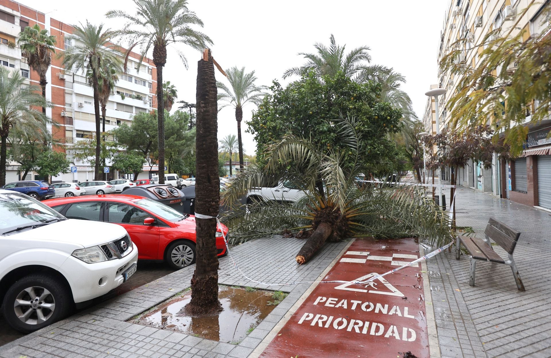 Los efectos de la borrasca Claudia en el Sector Sur de Córdoba, en imágenes