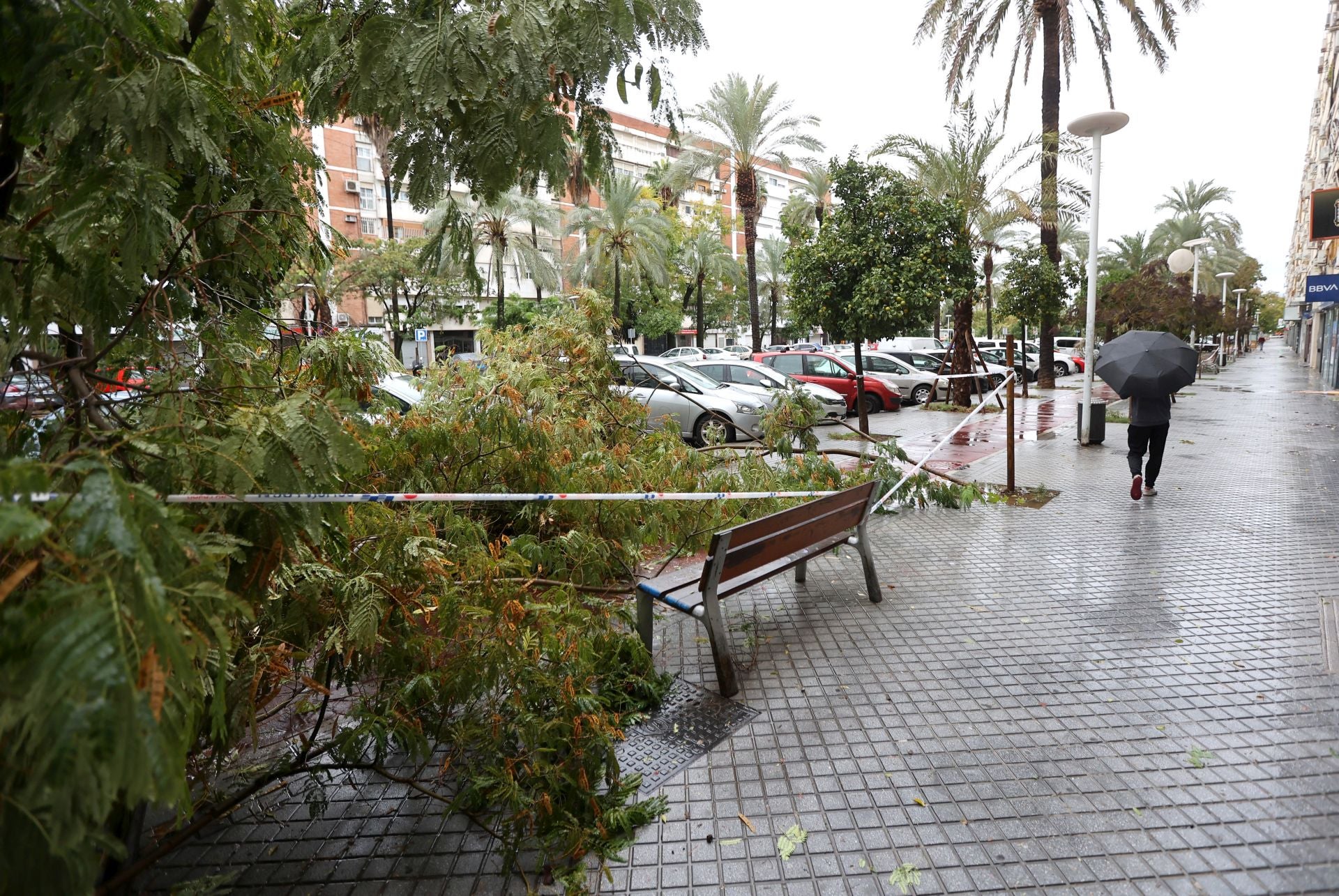 Los efectos de la borrasca Claudia en el Sector Sur de Córdoba, en imágenes