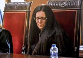 La acusada de matar a su bebé y tirarlo a una papelera en Elche de la Sierra culpa al marido y la suegra para evitar la prisión permanente revisable