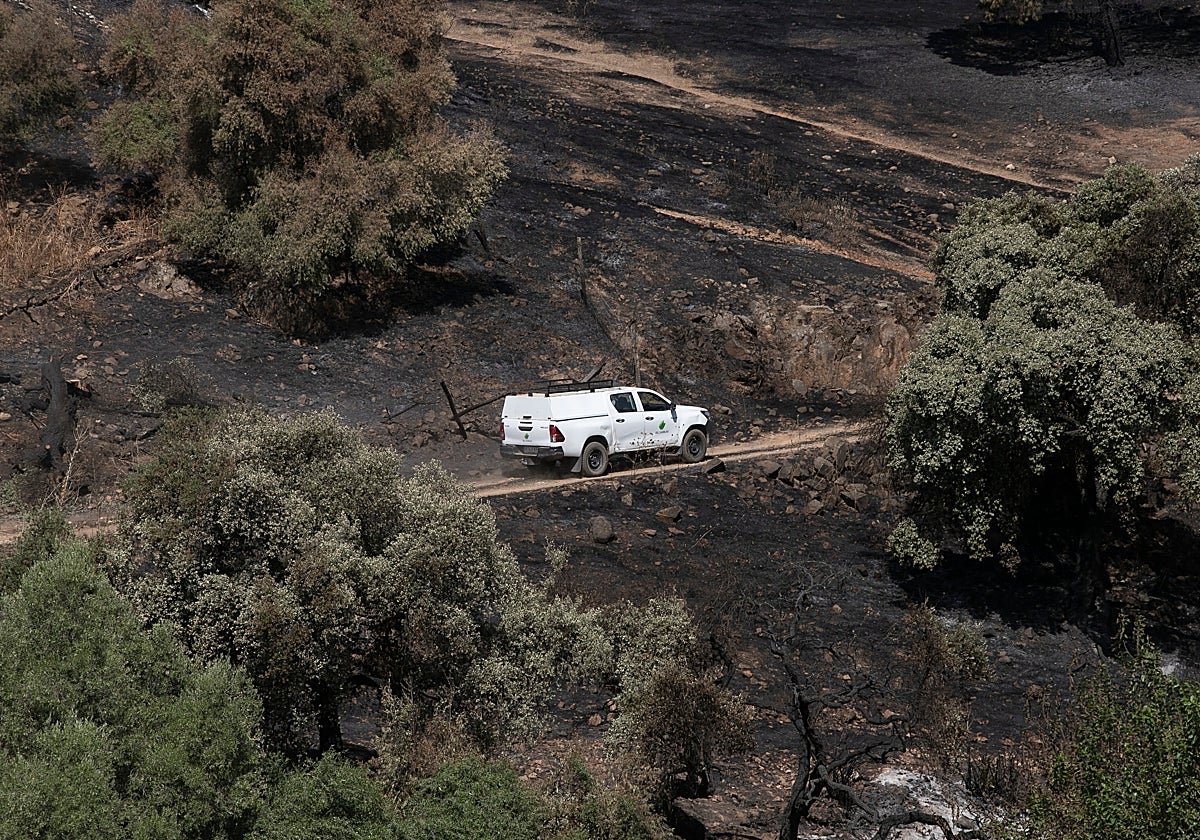 Un vehículo del Infoca, en el incendio de Santa Ana de la Albaida