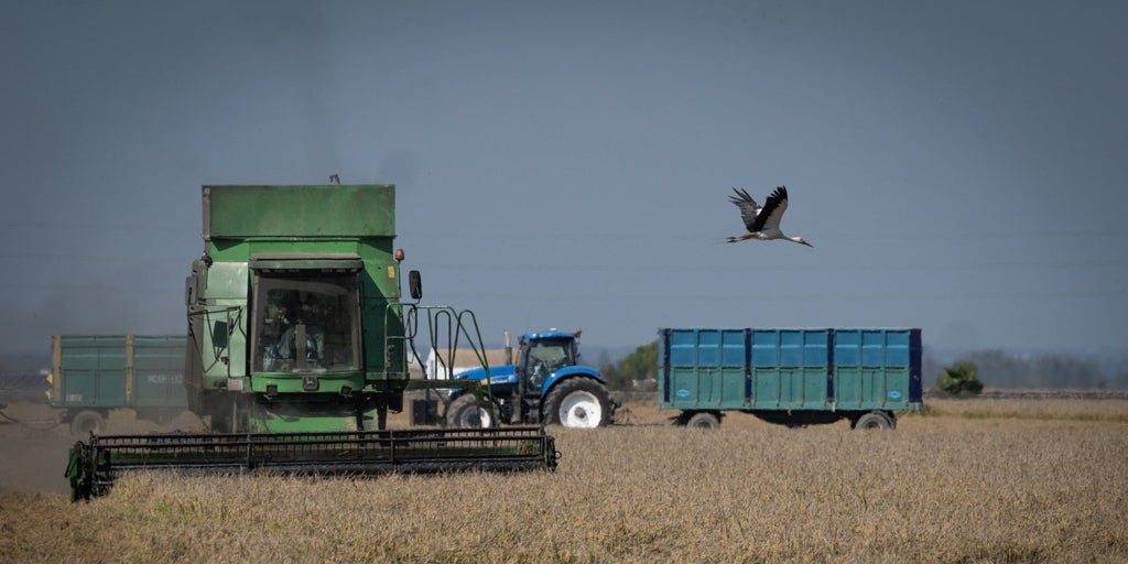 El TSJ de Castilla-La Mancha anula la orden que limitó el uso de maquinaria agrícola en julio de 2021 por riesgo extremo de incendios