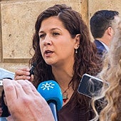 Izquierda Unida en Almería: «Estamos ante un entramado que ha convertido la Diputación en un cortijo»