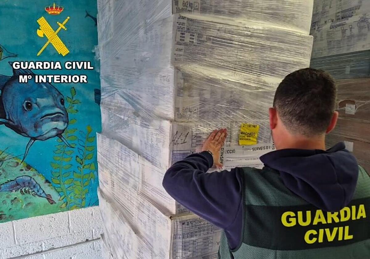 La Guardia Civil, durante la incautación del producto.