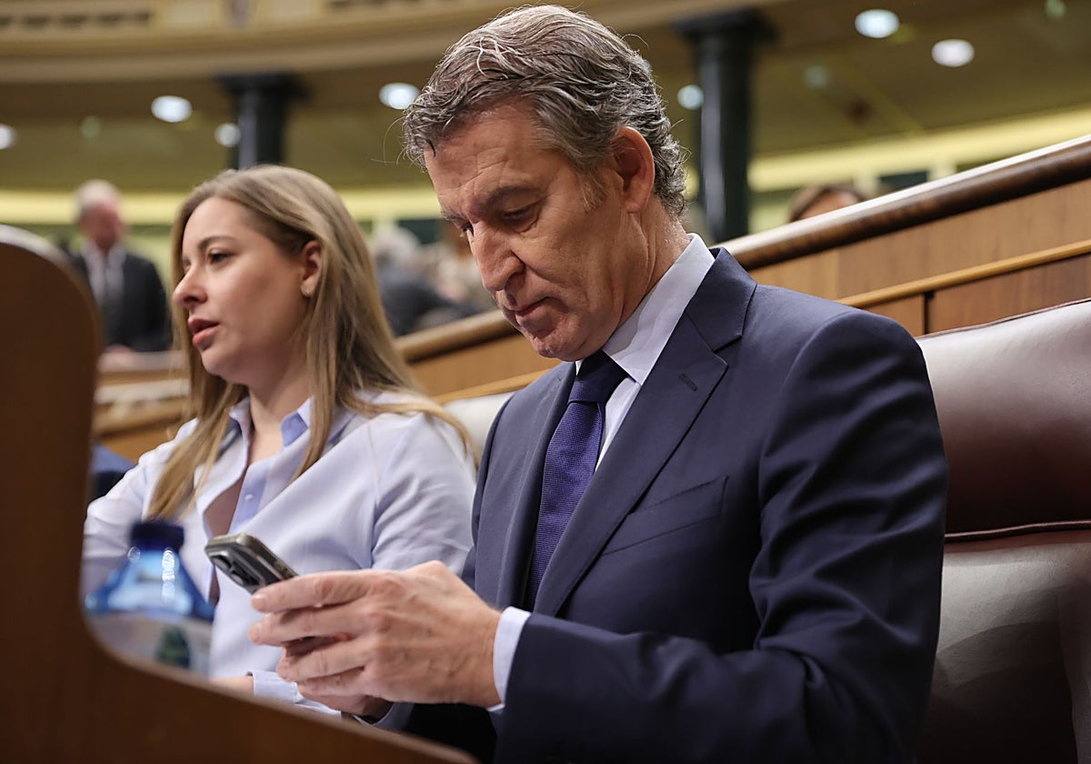 El presidente del PP, Alberto Núñez Feijóo, en la sesión de control del Congreso al Gobierno