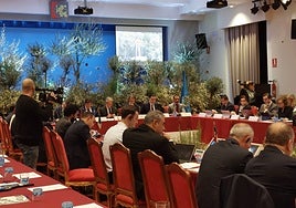 Córdoba, capital mundial del aceite de oliva y la aceituna de mesa durante dos días