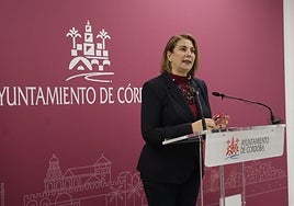 El Ayuntamiento activa el plan 'ola de frío' y amplía en más de 50 las plazas para personas sin hogar