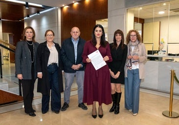 El PSOE pide un pleno extraordinario en la Diputación de Almería tras la detención del presidente