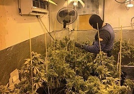 Una redada antidroga en el Sector Sur se salda con varios detenidos