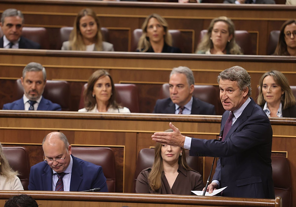 Alberto Núñez Feijóo en el Congreso