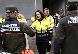 El Plan de Inclemencias Invernales de la Comunidad de Madrid contará con 6.600 efectivos, señales antihielo y sensores en calzadas