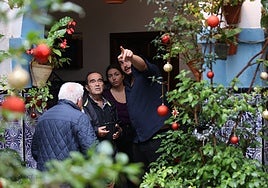 Los Patios de Córdoba se abren a la Navidad con diez rutas únicas y más de 40 recintos