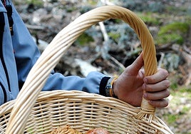 Localizan a un hombre pasadas las tres de la madrugada que se había perdido cuando buscaba setas en Torrijos (Teruel)