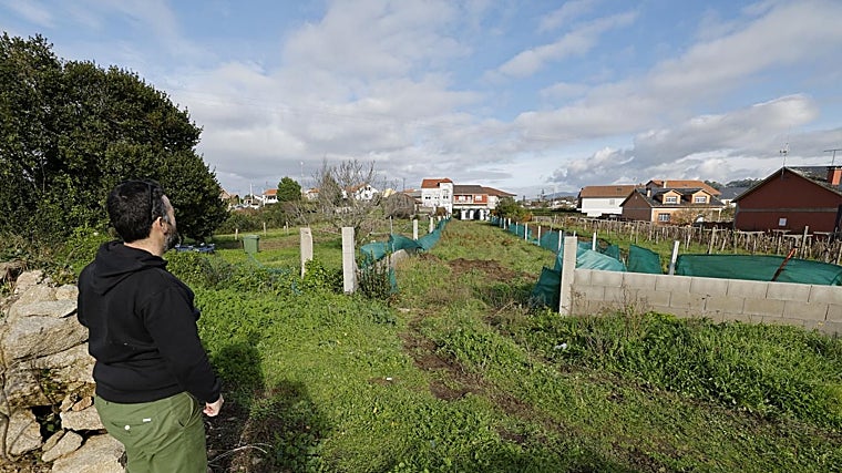 La finca registrada por la Policía Nacional en Vilanova de Arousa