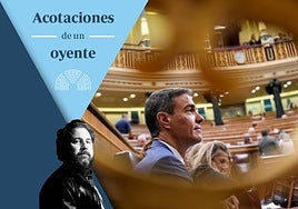 Anatomía de un farsante