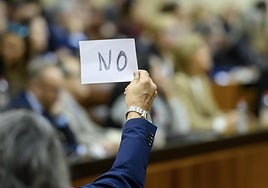 El Parlamento aprueba reducir espera en reconstrucciones de mama y rechaza limitar por ley conciertos sanitarios