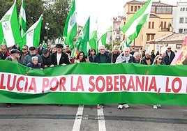 Una marcha de la Plataforma 4D reivindica que «sin sanidad, ni educación, ni hay autonomía ni igualdad»