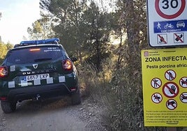 La Generalitat pide el despliegue de la UME para ayudar a contener el foco de peste porcina  en Collserola (Barcelona)