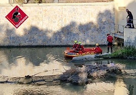 Encuentran el cadáver de un hombre flotando en el río Segura en Orihuela