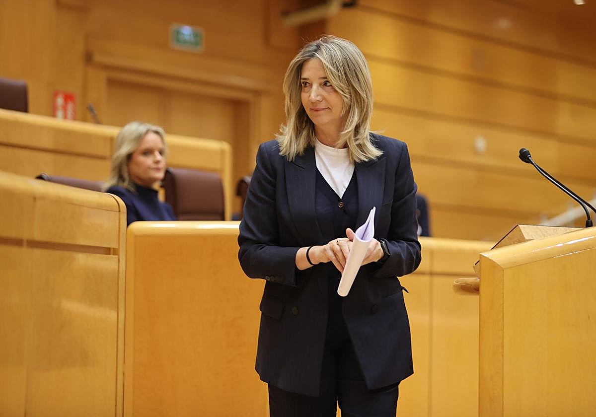 La portavoz del PP en el Senado, Alicia García