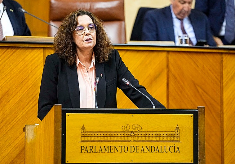 PP-A y Vox rechazan en el Parlamento tramitar una ley del PSOE-A para bajar ratios de alumnos