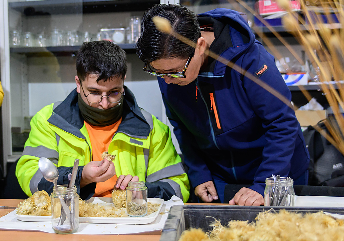 Proyecto de investigación